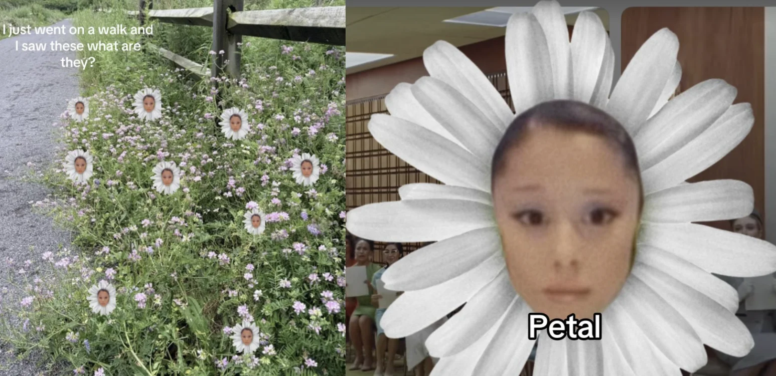 The Ariana Grande 'Petal' meme, combining viral TikTok imagery of the singer's face edited into daisy flowers.