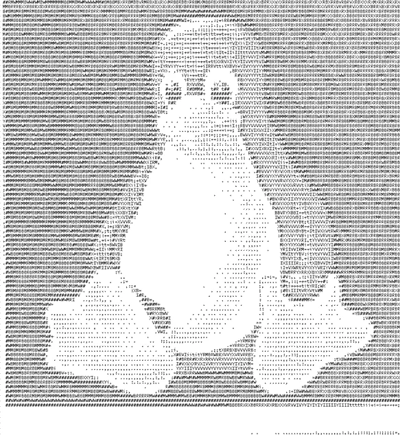 Intricate ASCII art composition.