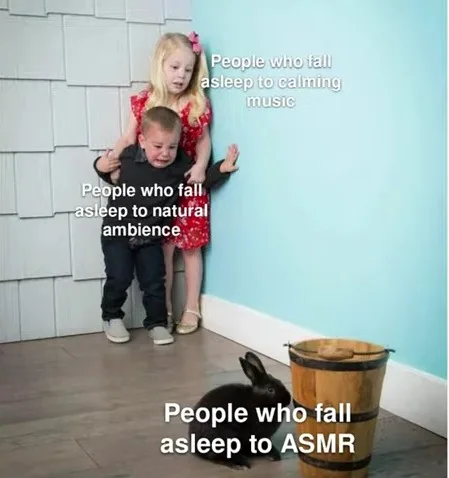 ASMR Memes