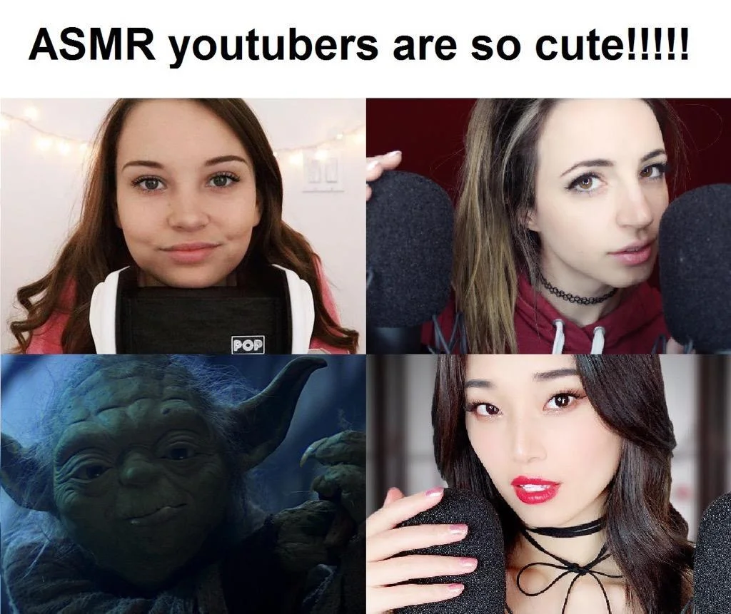 ASMR Memes