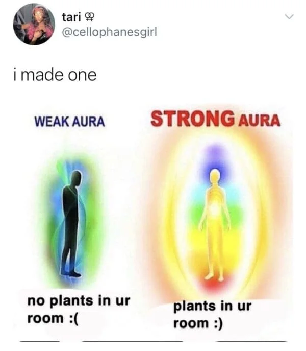 Strong aura features vibrant glow and plants in room.