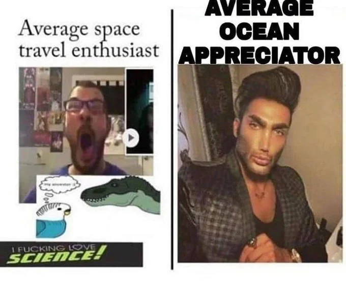 Average Fan vs Average Enjoyer