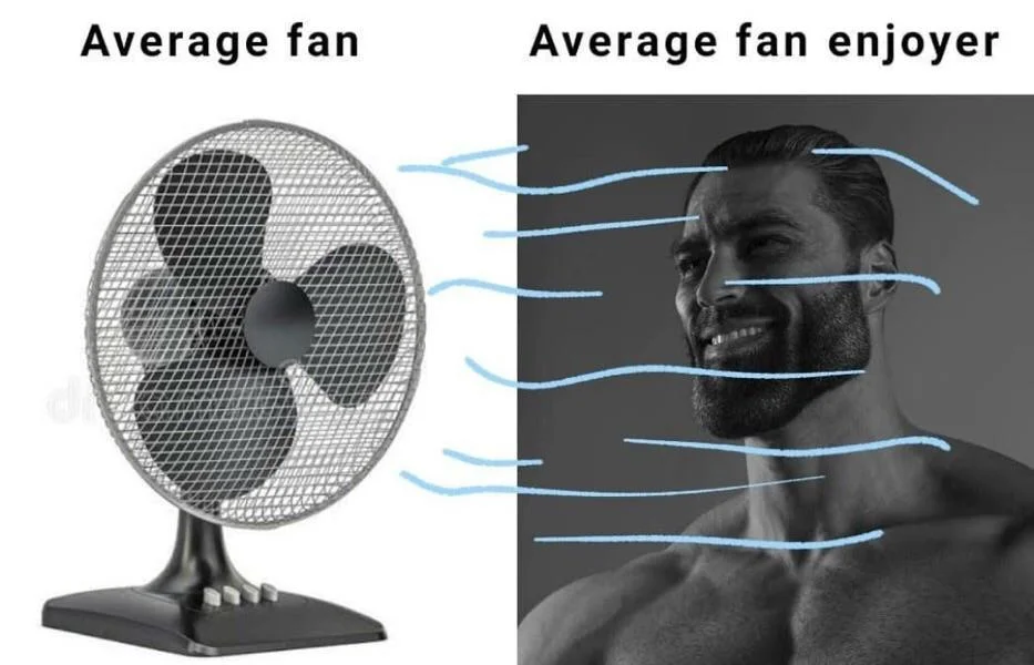 Average Fan vs Average Enjoyer