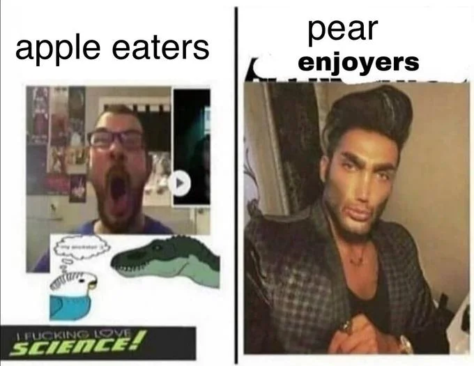 Average Fan vs Average Enjoyer