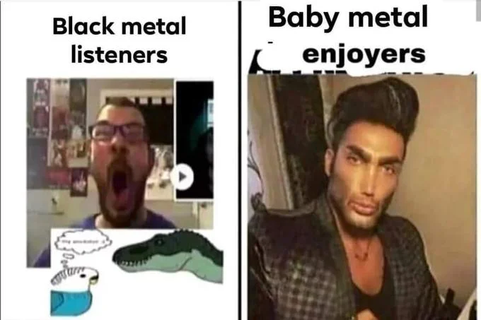 Average Fan vs Average Enjoyer