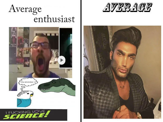 Average Fan vs Average Enjoyer