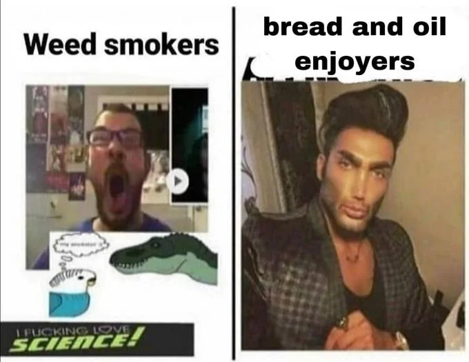Average Fan vs Average Enjoyer