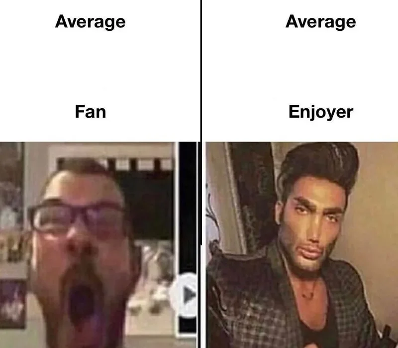 Average Fan vs Average Enjoyer