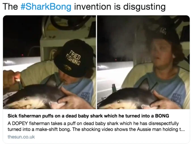 News coverage from The Sun reporting on the viral #SharkBong video shared on Twitter.
