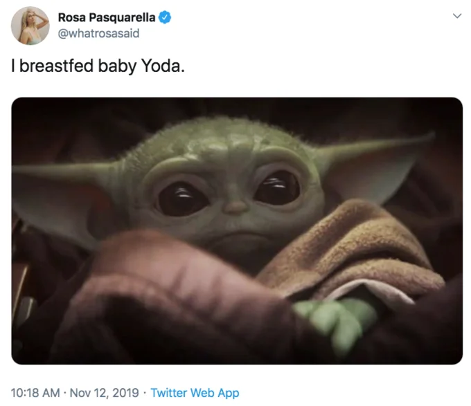 Baby Yoda / Grogu
