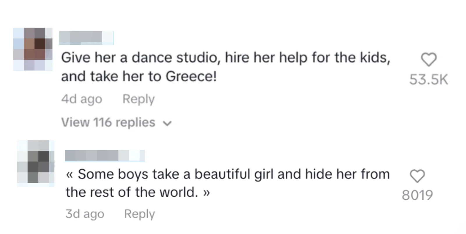 Social media comments critiquing Ballerina Farm lifestyle and marriage dynamics