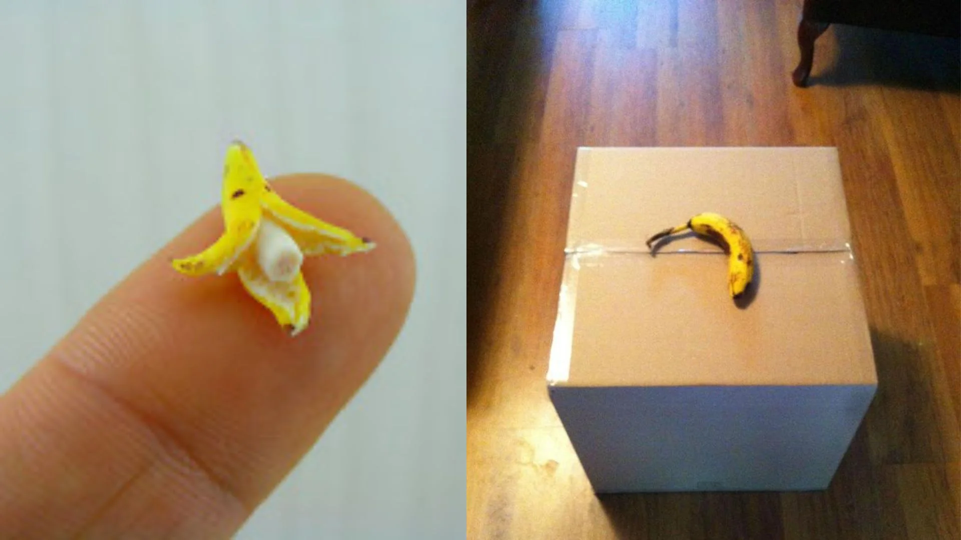 Classic side-by-side examples of the 'banana for scale' meme, contrasting miniature and full-sized subjects.