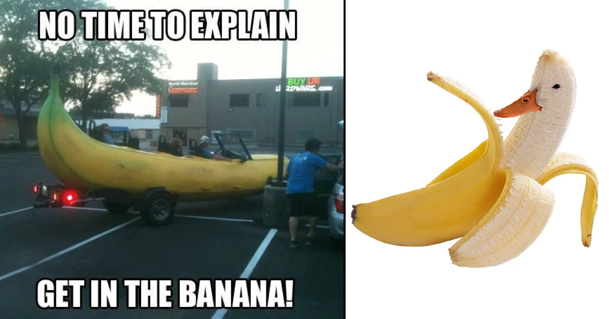 Absurdist 'Get in the Banana' vehicle meme template.