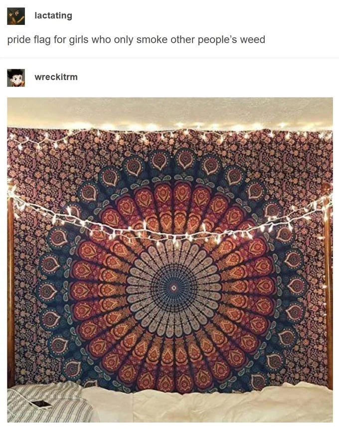 Tumblr pride flag rebrand.