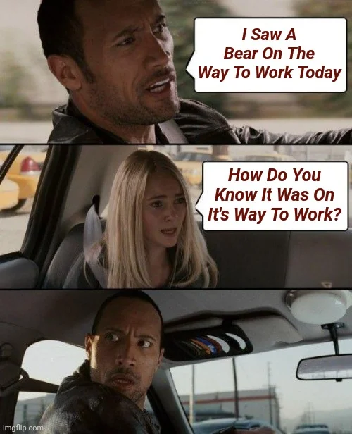 Example of the bear meme