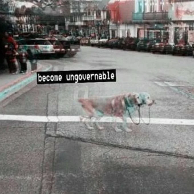 An aesthetic, vaporwave-tinted 'become ungovernable' image of a dog walking itself, a widely shared low-key variant of the meme.