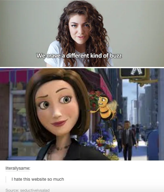 A Tumblr joke pairing Lorde's 'we crave a different kind of buzz' lyric with Vanessa and Barry from Bee Movie.