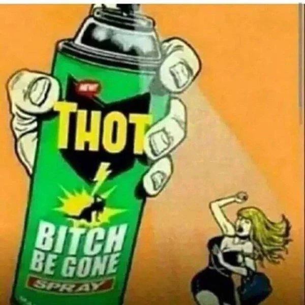 A popular 'Thot Be Gone' spray-can parody illustration used to mock the archetype the meme references.