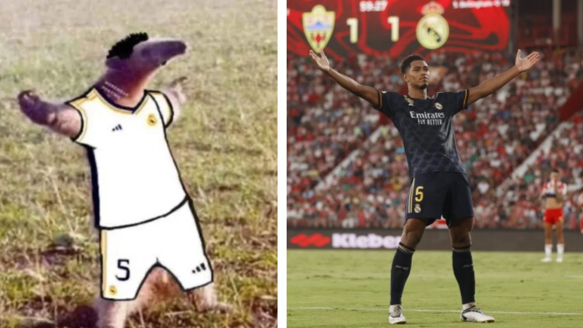 The 'Belligol' meme juxtaposes Jude Bellingham's signature outstretched-arms celebration with an anteater photoshopped into his Real Madrid kit striking the same pose.