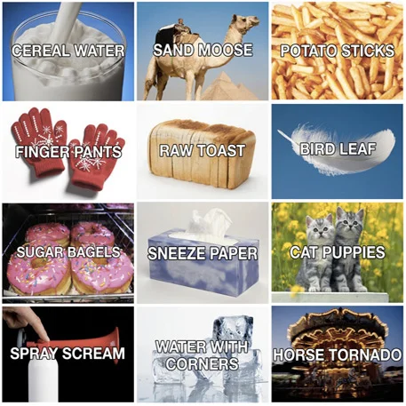 The iconic collage of 'better names for things' featuring twelve renamed everyday objects that captures the spirit of the meme.