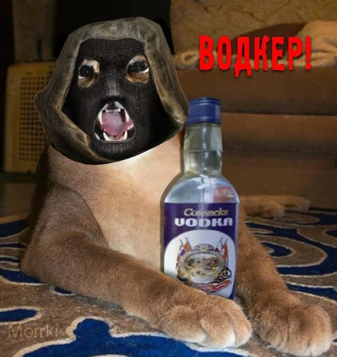 Another entry from the sprawling Big Floppa meme gallery.