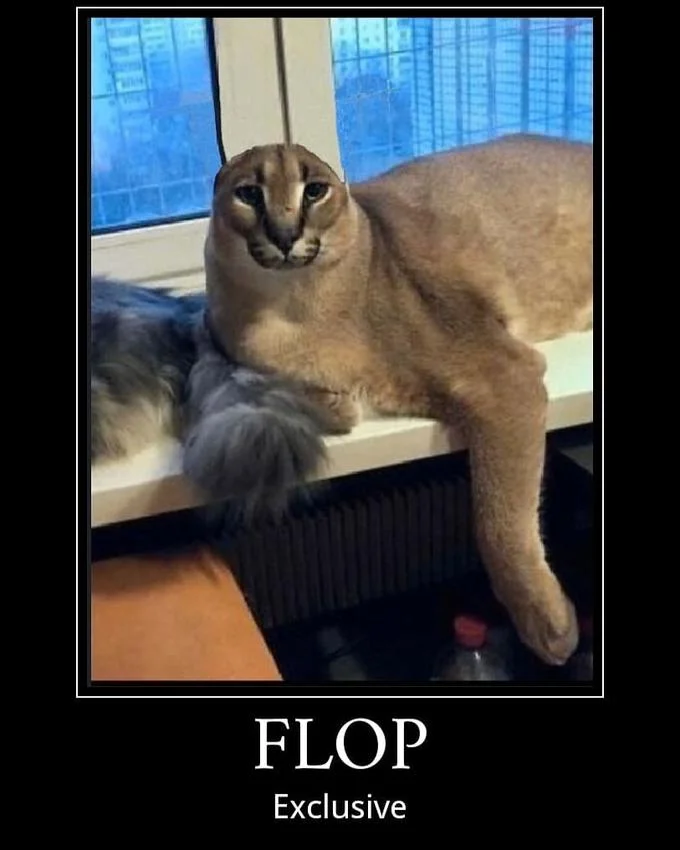 Big Floppa's signature ears — the feature that gave the meme its name.
