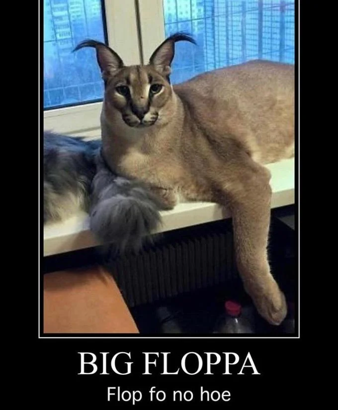 A photo of Big Floppa featured in the meme's early spread.