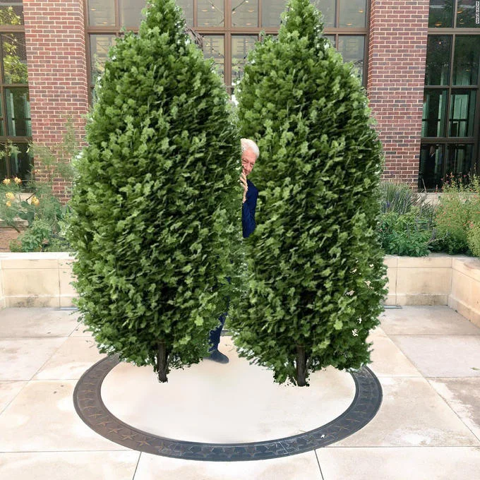 Popular photoshop battle entry replacing statues with literal bushes.