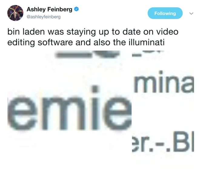 Journalist Ashley Feinberg's viral tweet mocking the contents of the Bin Laden files, pointing out references to video editing software and the illuminati.