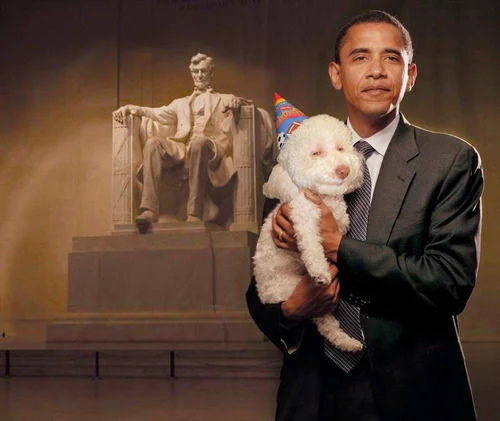 A photoshop remix placing Birthday Dog in the arms of President Barack Obama.