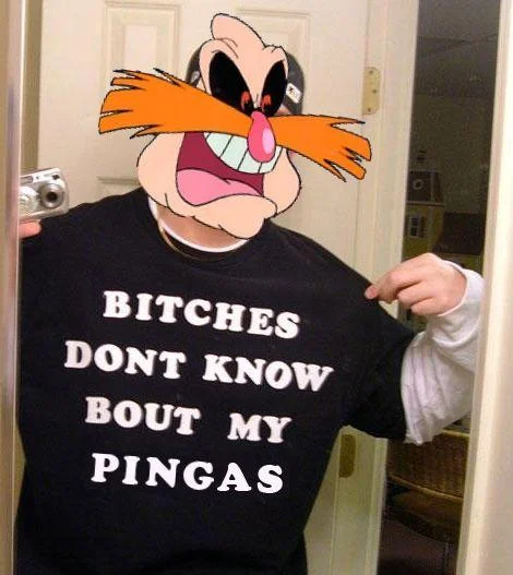 A YouTube Poop-themed variation referencing Dr. Robotnik's 'Pingas' catchphrase.