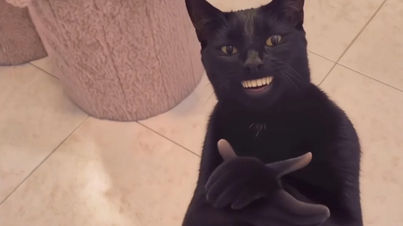 The 'Black Cat Clapping' meme features a black cat edited with a human mouth and clapping hands, taken from a viral video that spread across TikTok and Twitter.