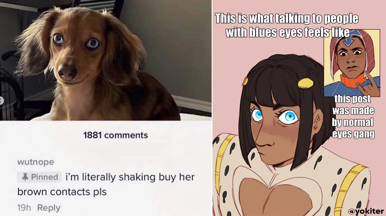 The header image for the Blue Eyes Slander meme, pairing the wide-eyed dachshund TikTok with an illustrated 'normal eyes gang' jab.