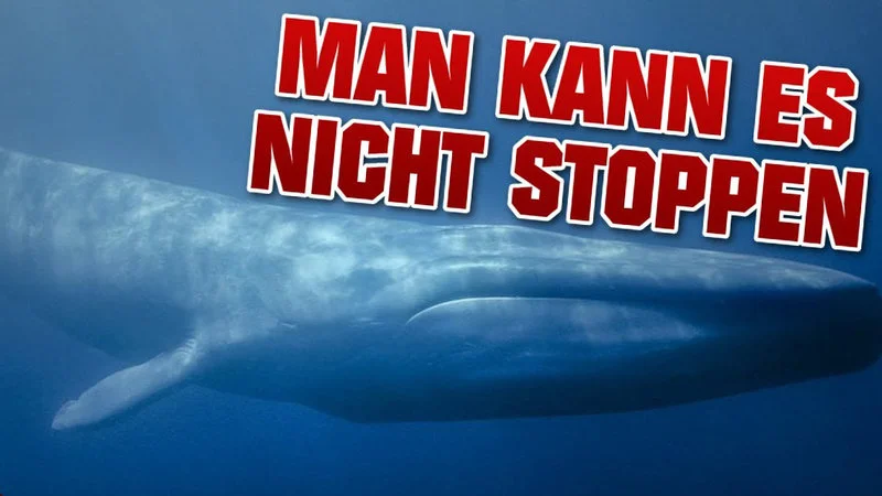 Viral warning graphic from Blue Whale Challenge media coverage.