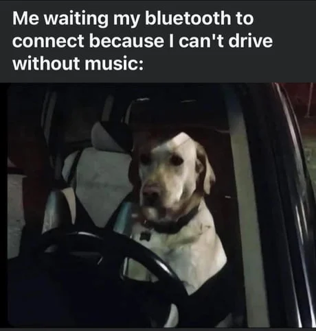 Dog waiting for Bluetooth connection in car.