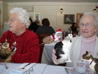 Elderly group with boozecats at social event.