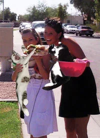 Two women displaying cats in boozecats format.
