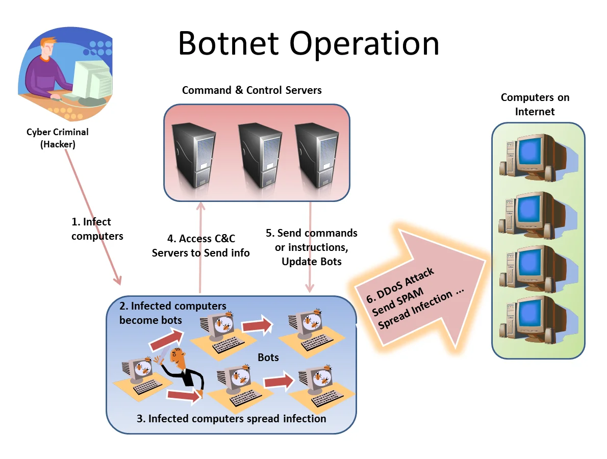 A diagram illustrating the typical lifecycle of a botnet operation, from the initial infection of computers to launching DDoS attacks via Command & Control servers.