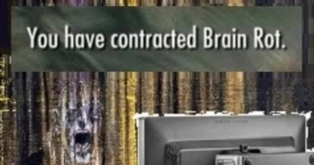 Iconic brain rot notification from Fallout universe.