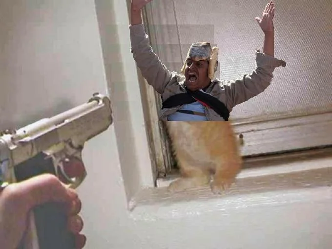 Surreal domestic danger composite meme.