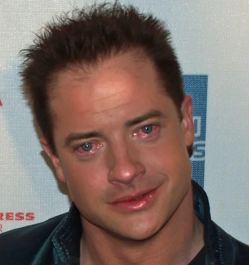 A red carpet snapshot of Brendan Fraser during the period when fans began rallying around his post-divorce appearance.