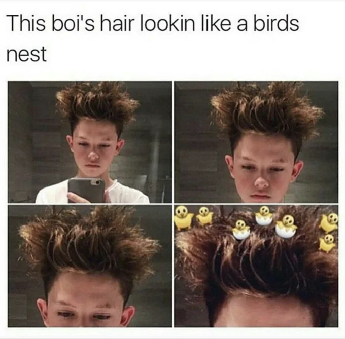 Four-panel meme of boy with voluminous curly hair called a bird's nest