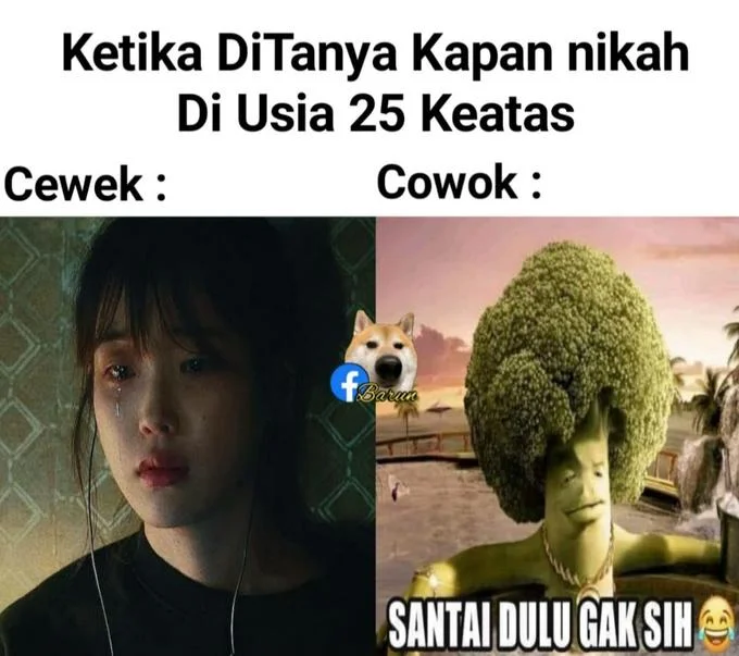The broccoli-in-hot-tub image repurposed as an Indonesian reaction meme captioned 'Santai Dulu Gak Sih' ('chill out for a bit').