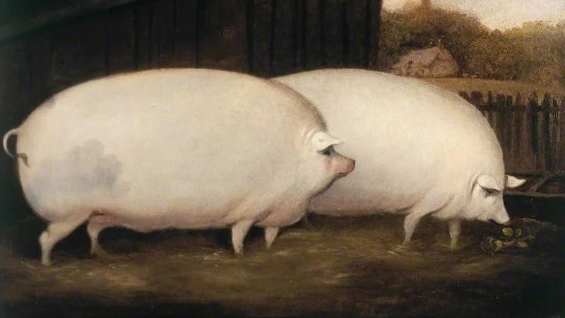 The original oil painting of two prize pigs that became the iconic image for the 'brother may I have some oats' meme.