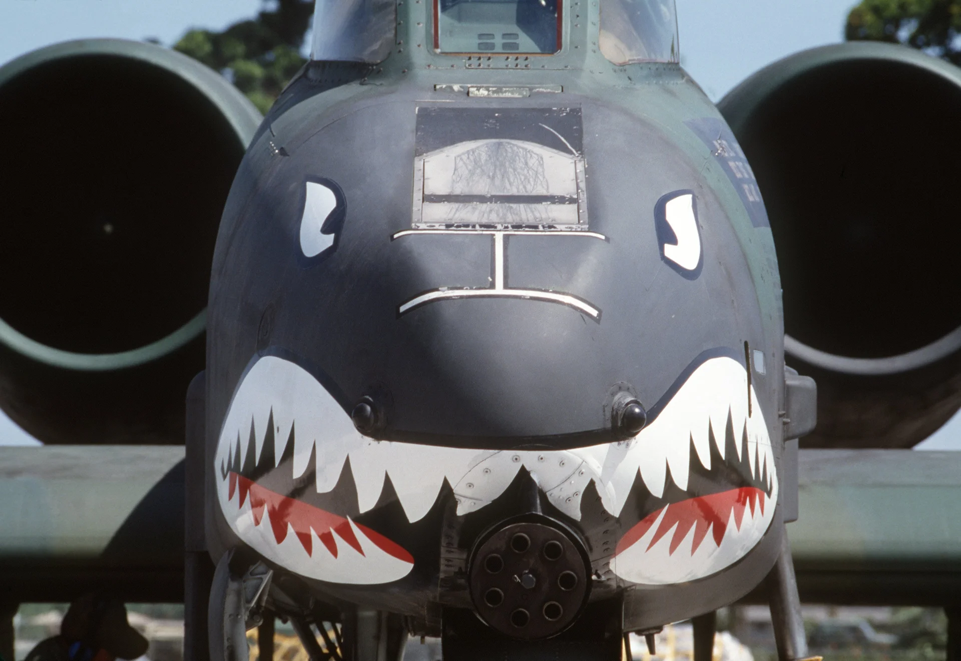 The A-10 Thunderbolt II's iconic shark-mouth nose art frames the muzzle of the GAU-8 Avenger cannon responsible for the aircraft's signature 'BRRRT' sound.