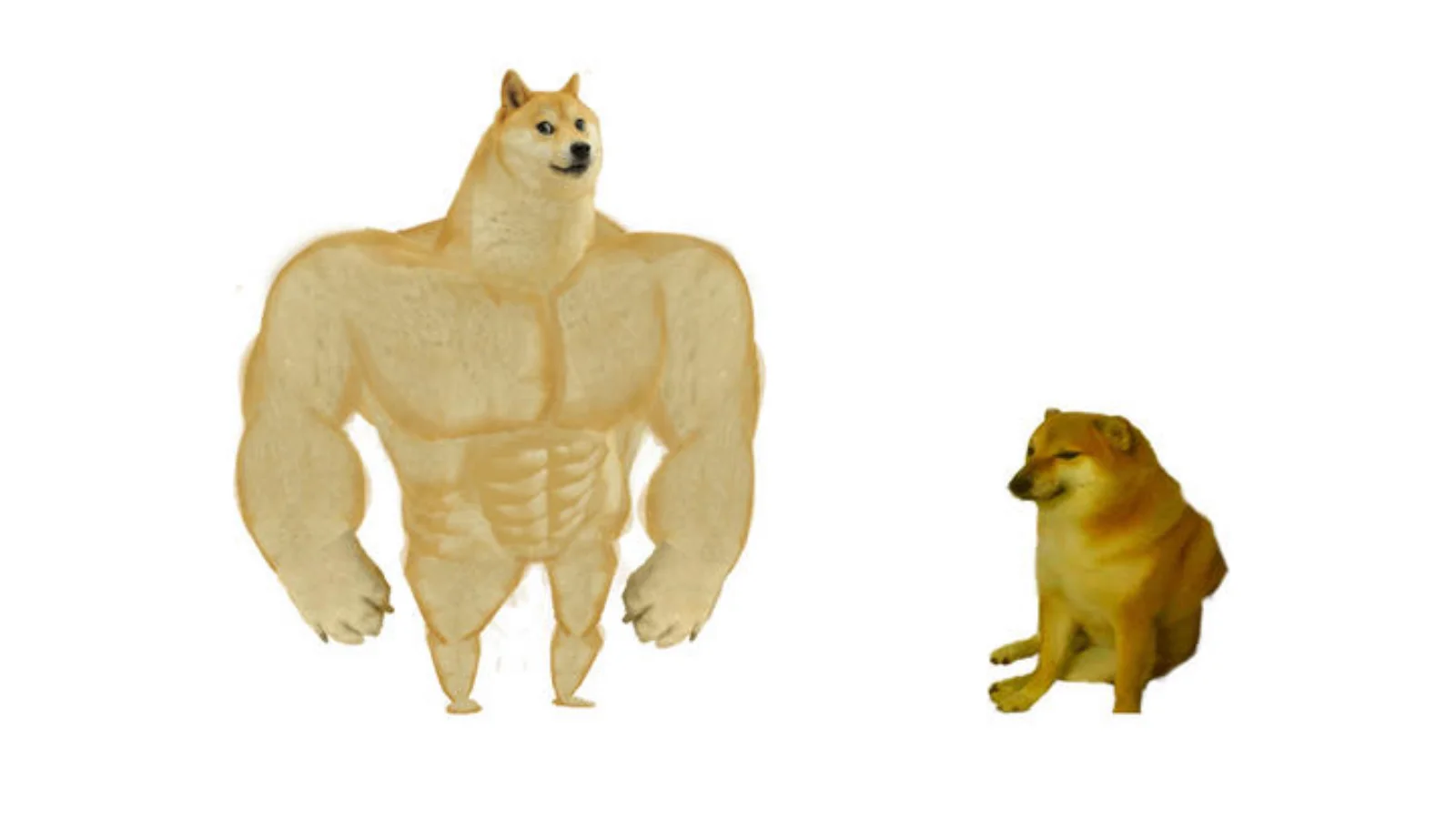Canonical Buff Doge vs Cheems comparison template.