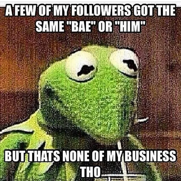 Kermit judging social media dynamics.