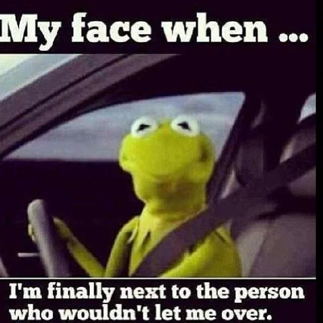 Kermit delivering sarcastic judgmental commentary.