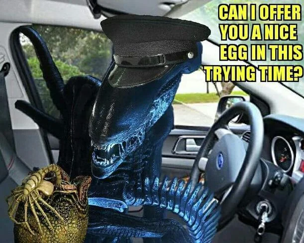 Can I Offer You A Nice Egg In This Trying Time