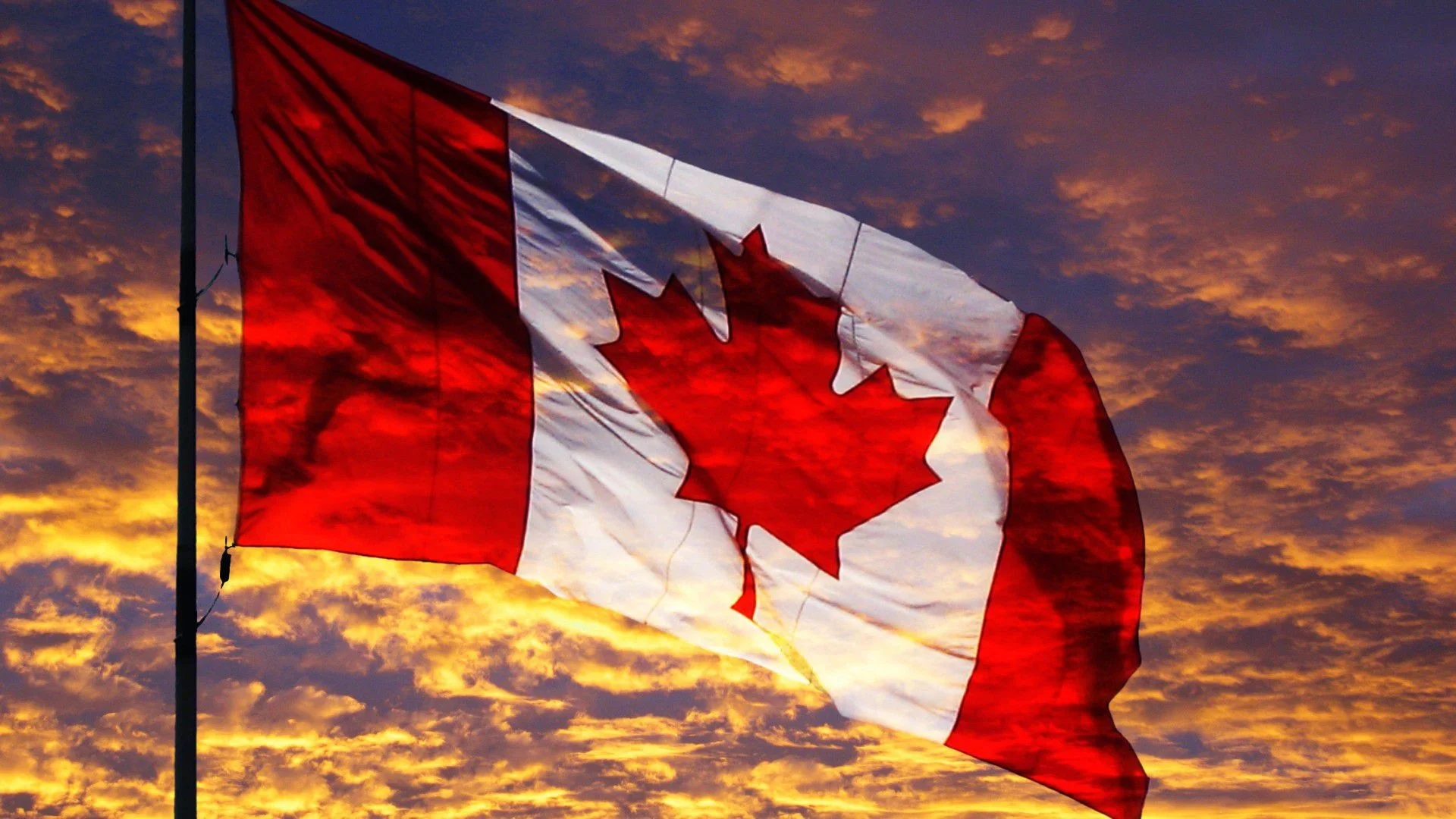 The flag of Canada featuring the iconic red maple leaf, silhouetted against a fiery sunset.